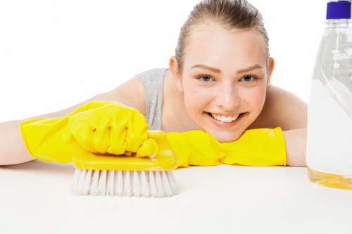 Professional sofa cleaning equipment used in Bexleyheath
