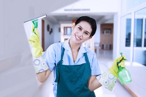 Professional sofa cleaning process